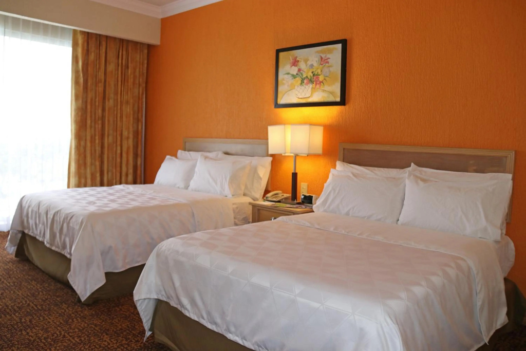 Holiday Inn La Piedad by IHG - Général