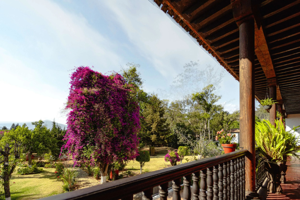 Balcony & Terrace