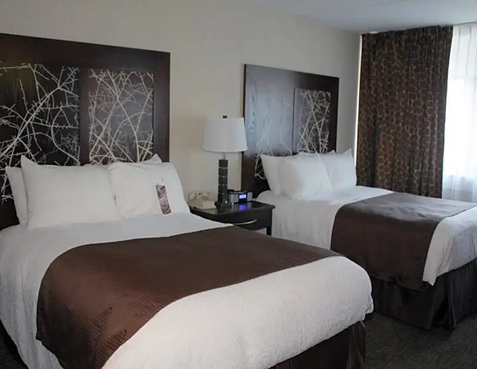 Standard Sextuple room