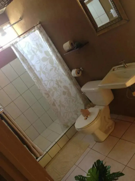 Green Village - фото 6