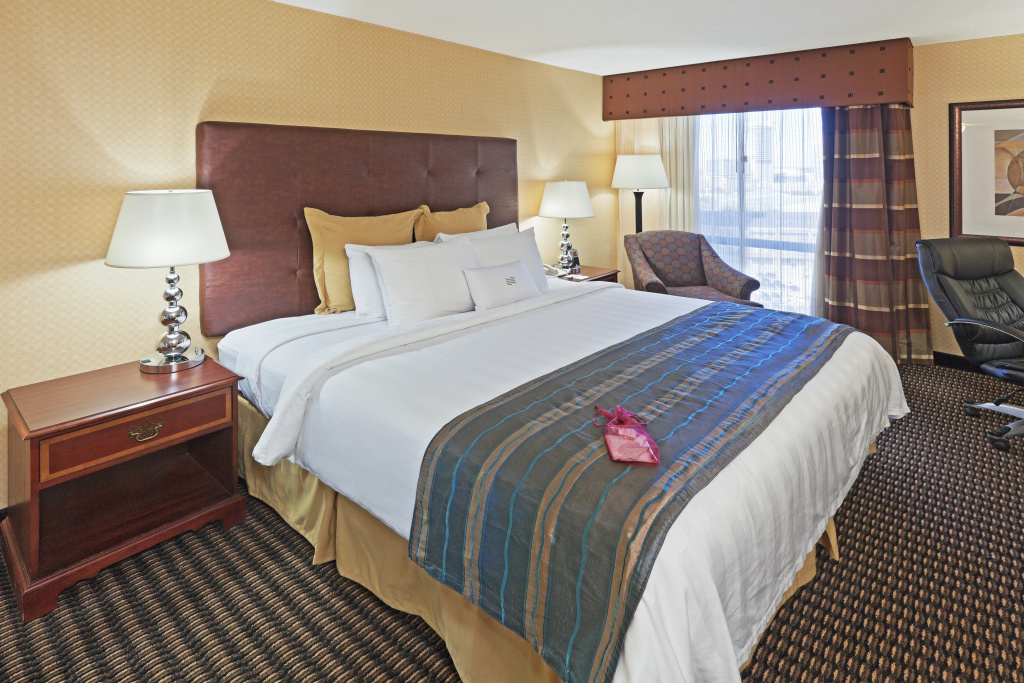 Crowne Plaza Dallas Downtown by IHG - Général