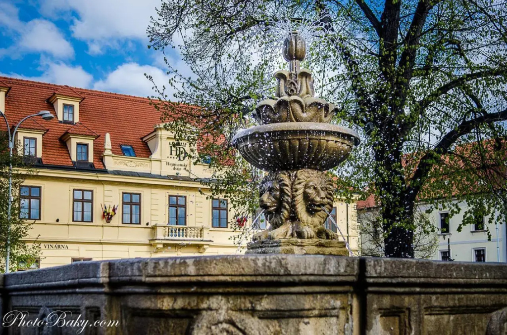 Hotel Hejtmanský Dvůr - Général