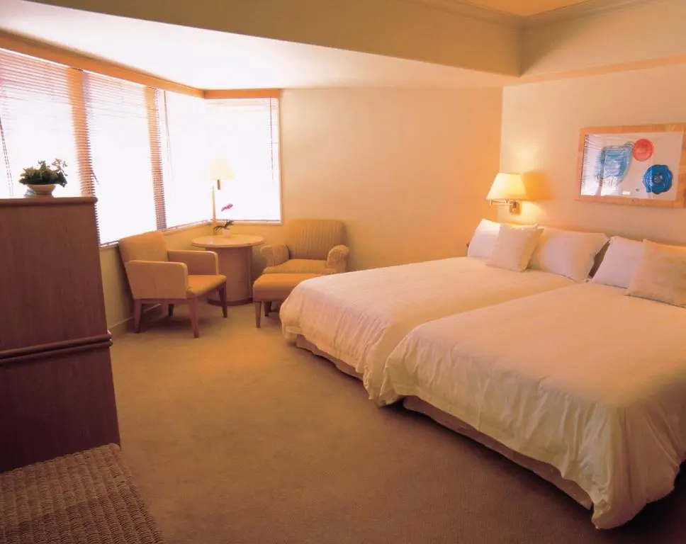 Deluxe Double room (twin beds)