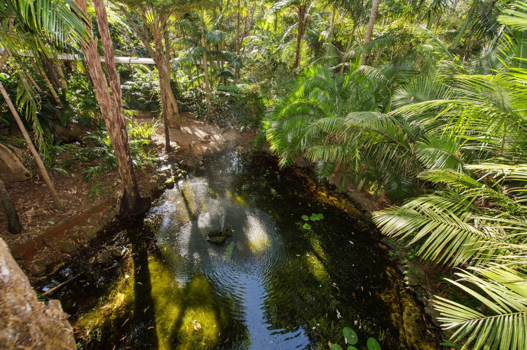 Pethers Rainforest Retreat - 2