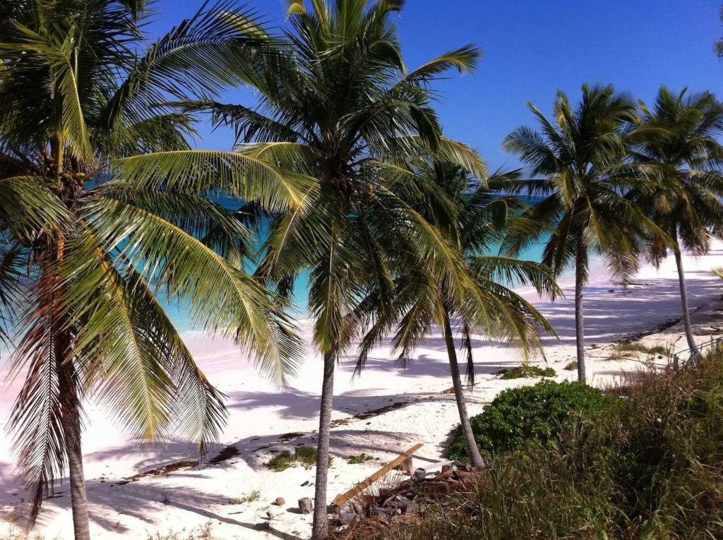 Seven Palms - Général