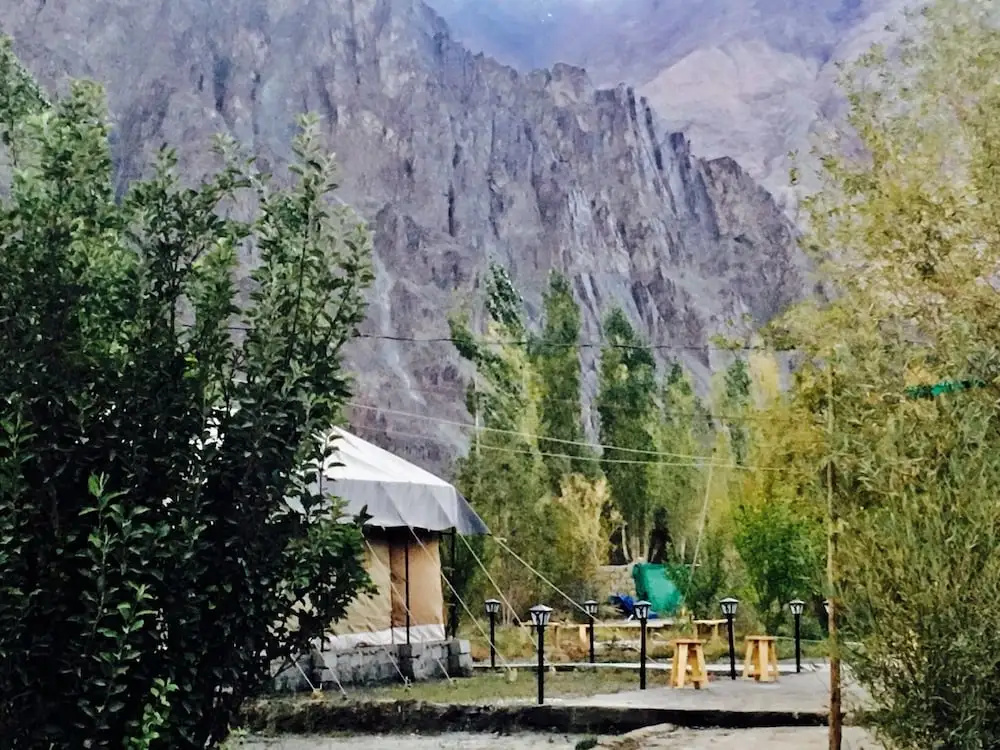 D Camp