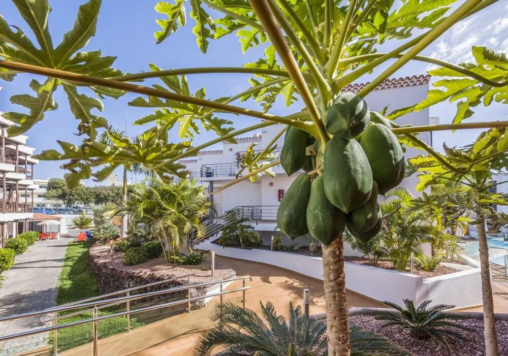 Casas Pepe Adults Only - Général