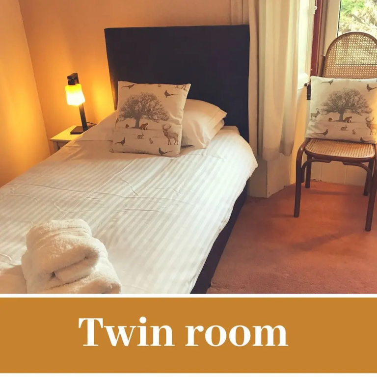 Standard Double room (twin beds)