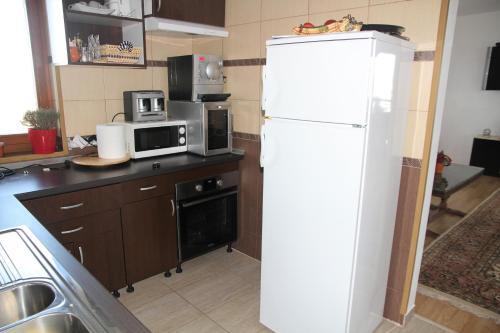 Отель Pensiunea Giuvaerul Oltului, фото 12