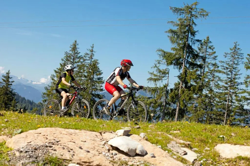Salzburger Dolomitenhof - Général