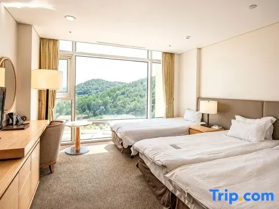 Standard Double Family room (twin beds)