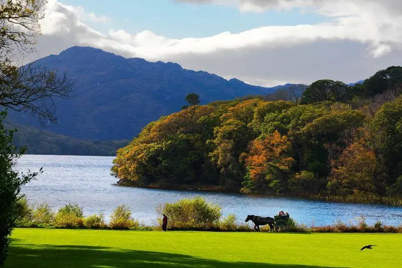 Innisfallen Hotel - Chambres