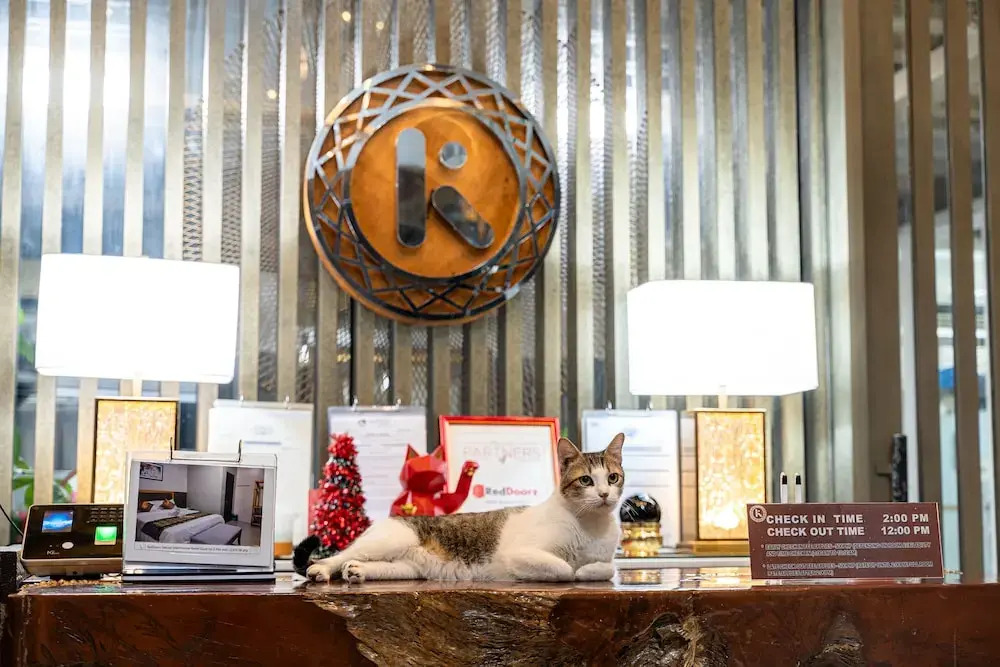 Kamalig Ng Caraga - Hotel Near SM Mall Butuan - Hostel — фото 2