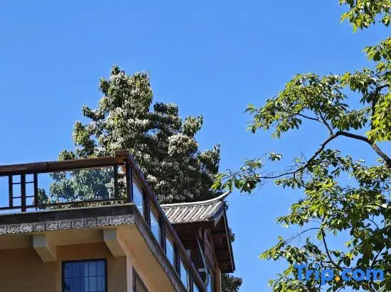 Shaxi Weiran Mountain Villa