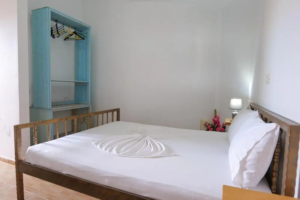 Standard Double room with mountain view (full double bed)