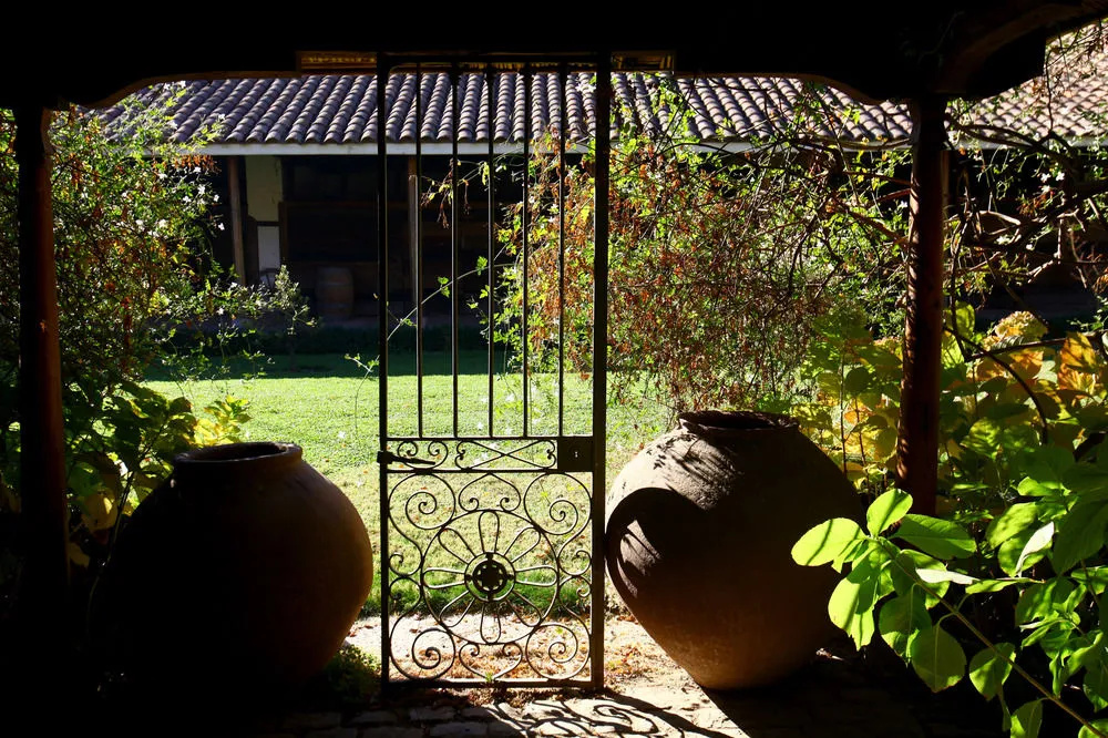 Balcony & Terrace