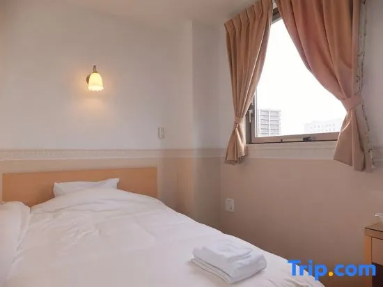 Standard Single room with city view