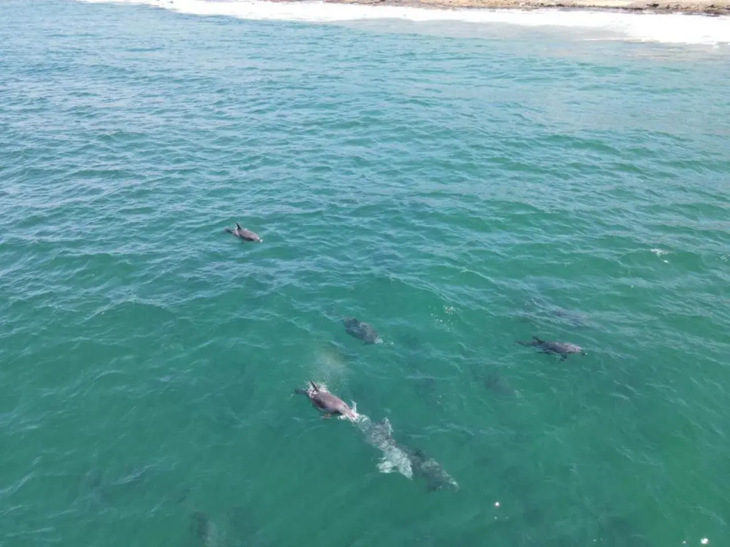 406 Les Mouettes - фото 13