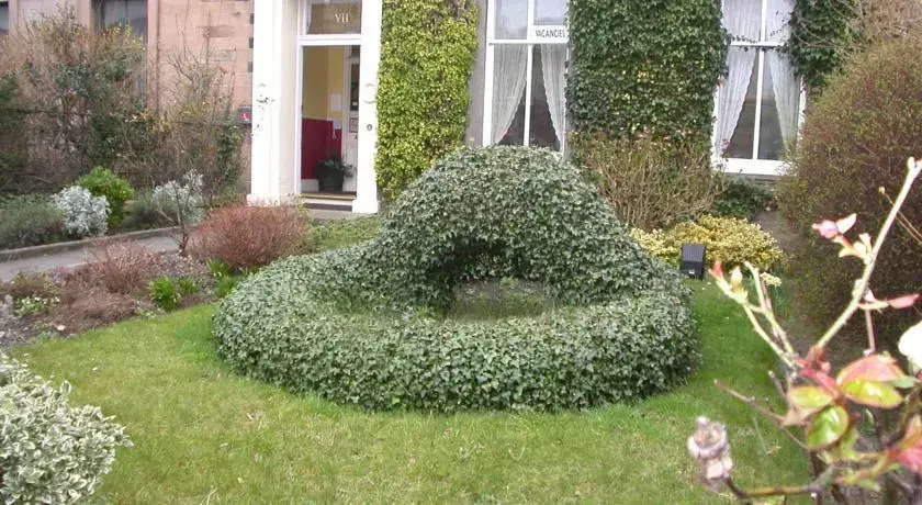 Ivy Guest House
