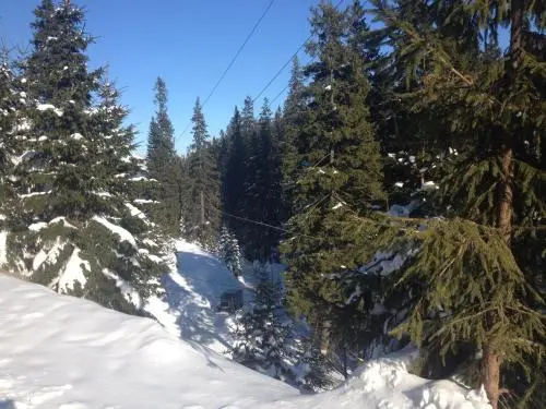 Taemnytsya Gir