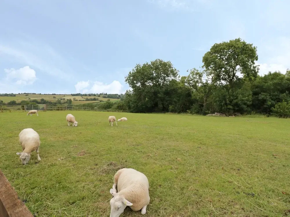 Holmer Farm