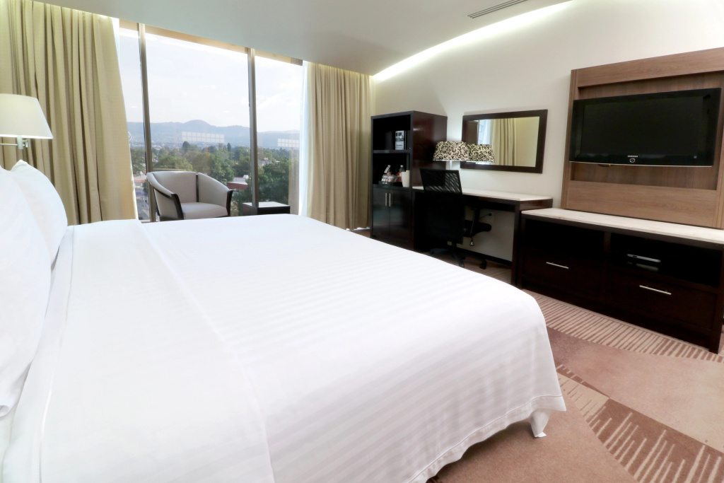 Holiday Inn Hotel & Suites Medica Sur by IHG - Général