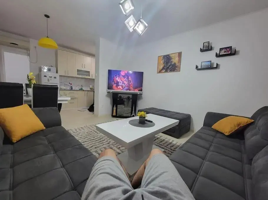 Spacious Apartment in Novi Sad