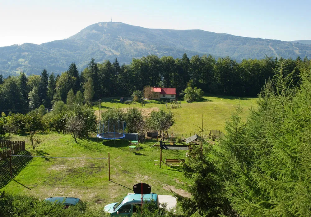 Kosajonka