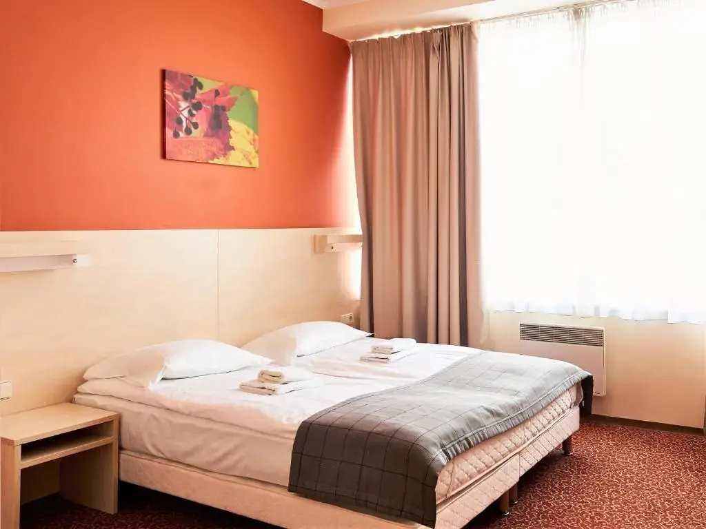 Rija Bauska Hotel - Chambres