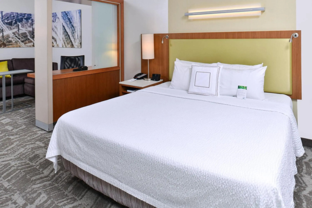 SpringHill Suites by Marriott Detroit Metro Airport Romulus - Général