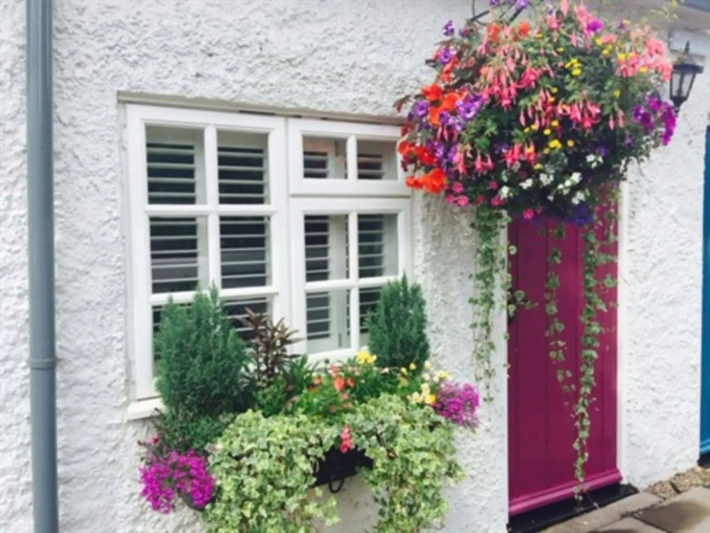 The Swan Inn