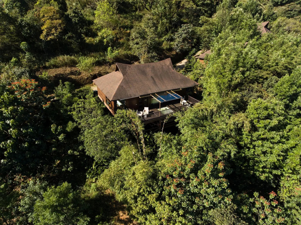 The Tamara Coorg - Général
