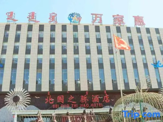 beiguozhijiaohotel in Ordos