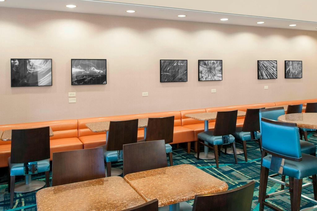 SpringHill Suites Chicago O'Hare by Marriott - Général