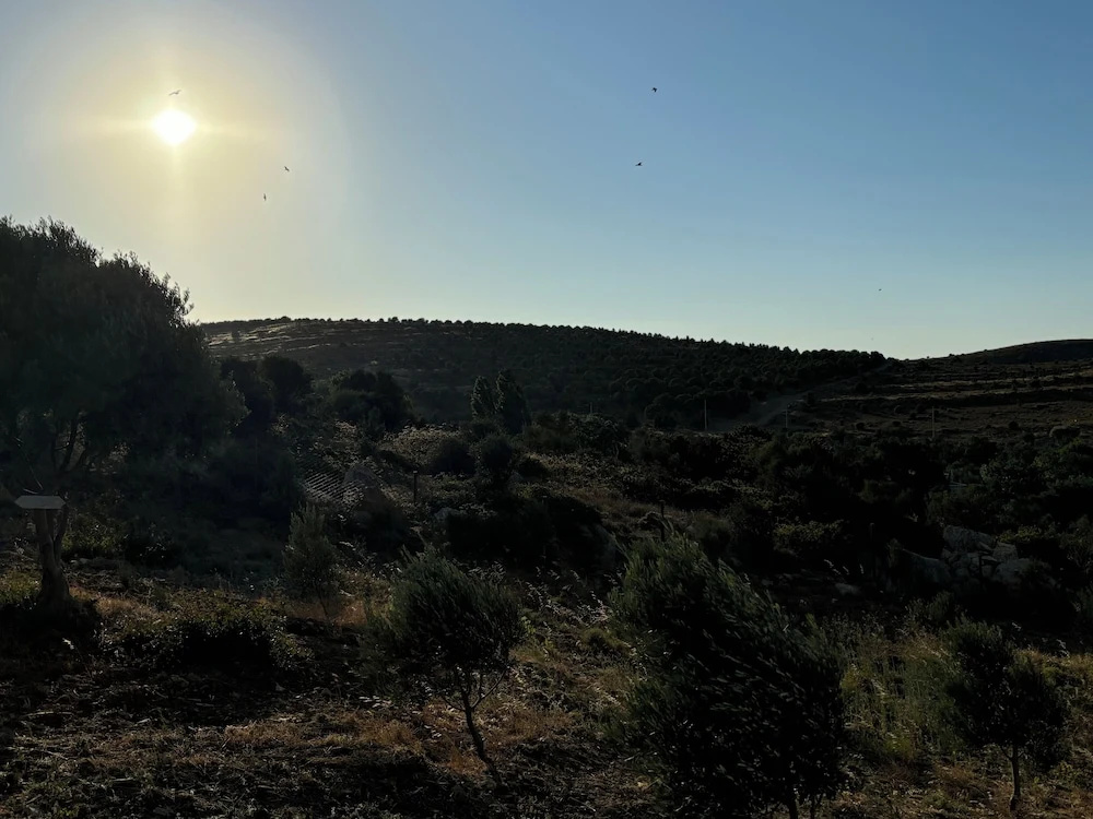 Zeus kır evi