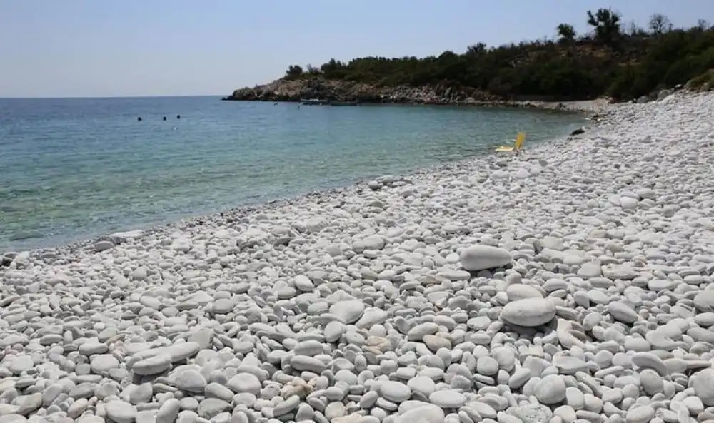 Beach & Waterfront
