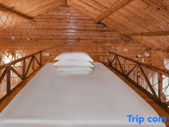Standard Family Attic room