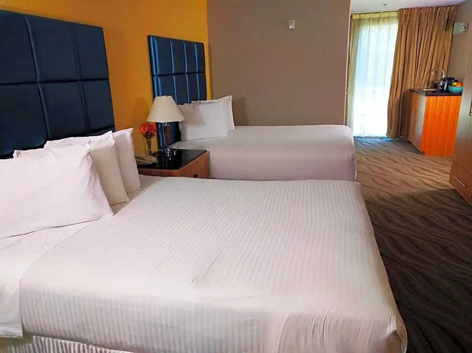 Porto Vista Hotel Downtown - Chambres