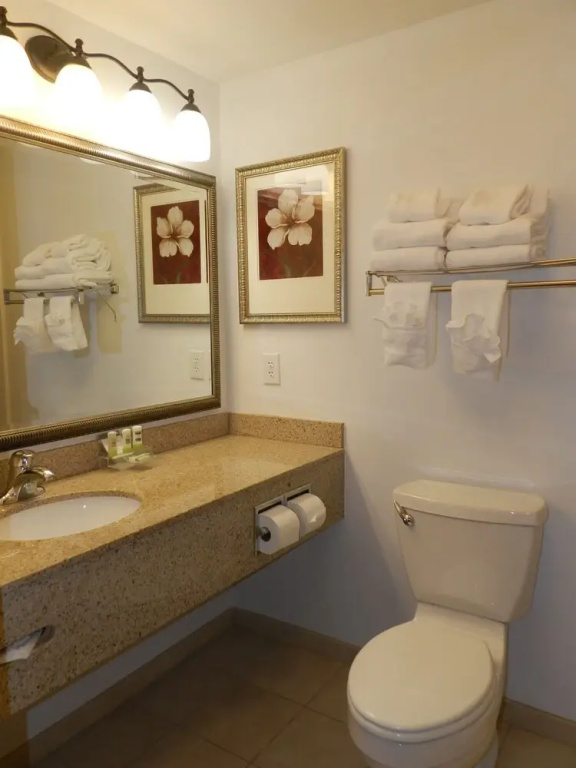 Country Inn & Suites by Radisson, Braselton, GA - Chambres
