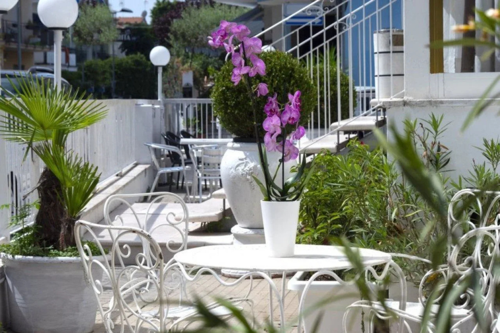 Hotel photo 12