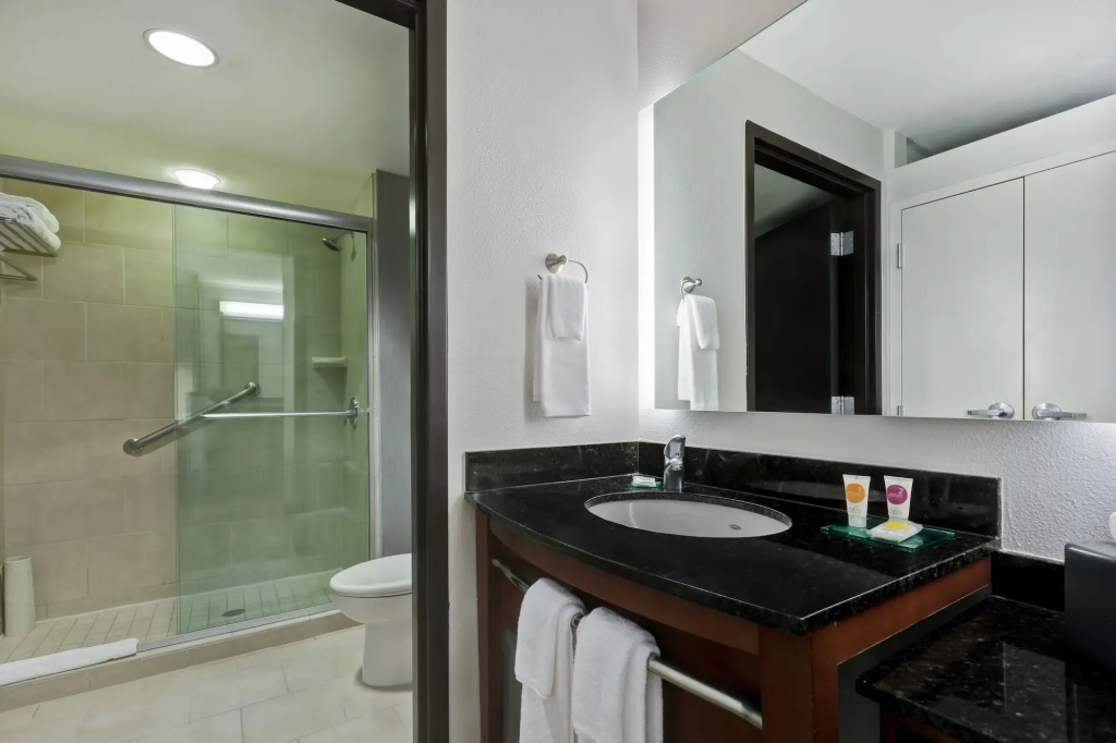 Hyatt Place San Antonio–North/Stone Oak - Général