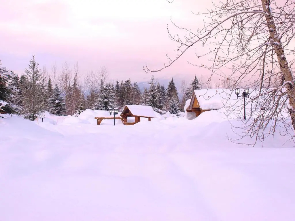 Glacier House Resort - Chambres
