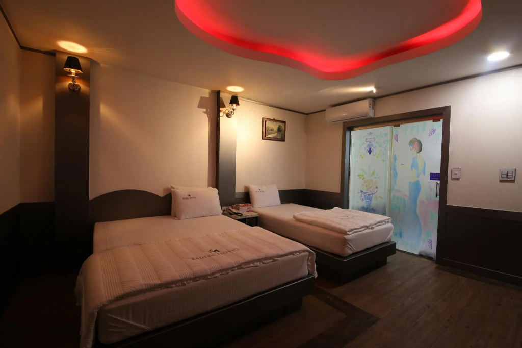 Deluxe Double room (twin beds)