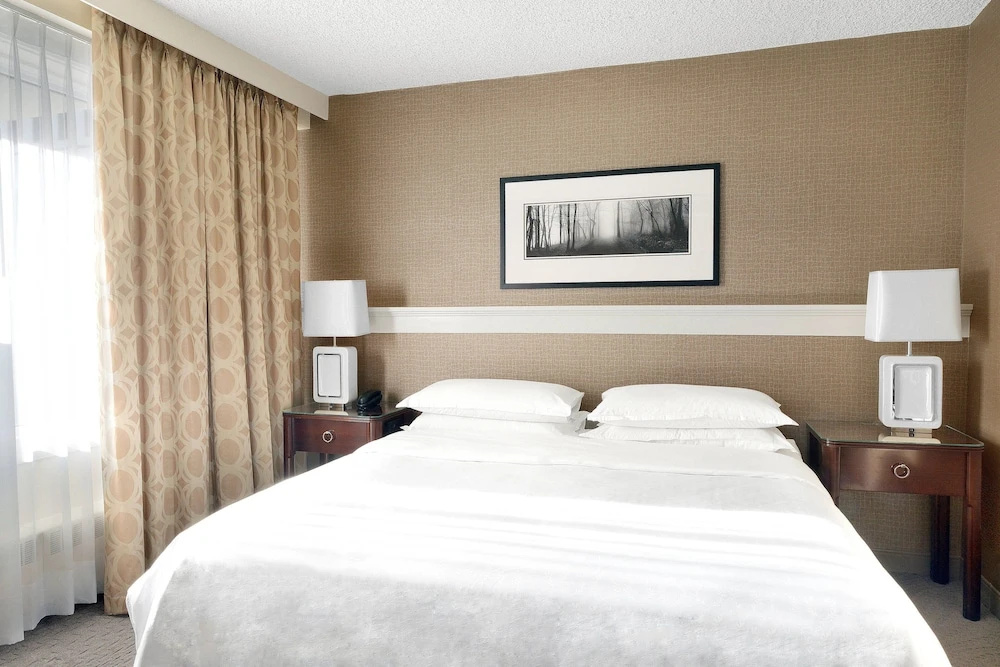 1 Bedroom Suite with park view