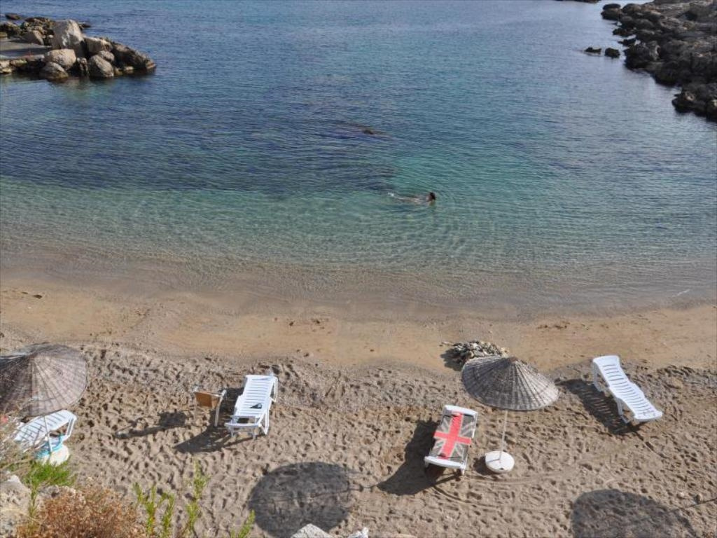 Beach & Waterfront