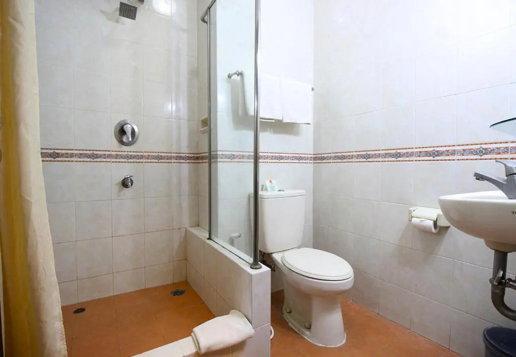 Executive Double room (full double bed)