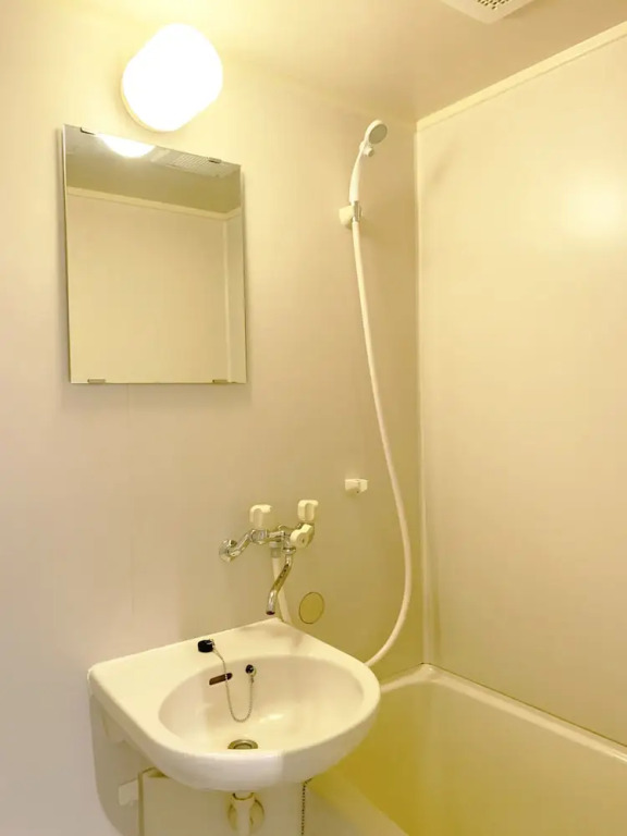 Image 7