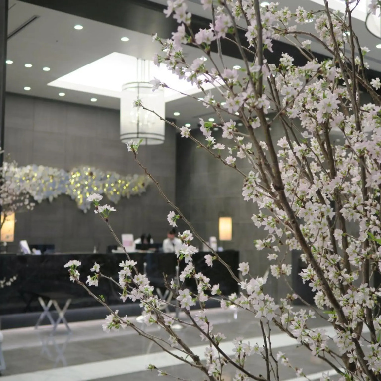 Hotel photo 45