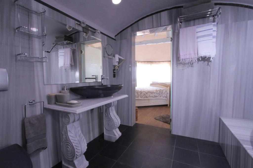 white Dolphin by null