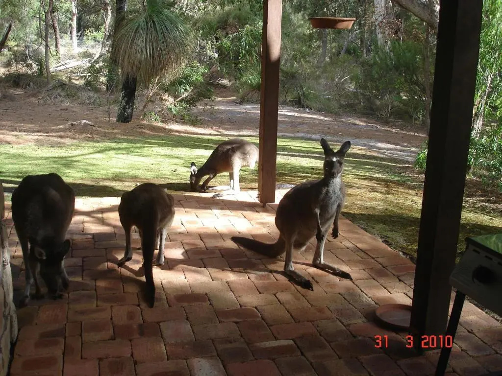 Yelverton Brook Eco Spa Retreat & Conservation Sanctuary - Chambres
